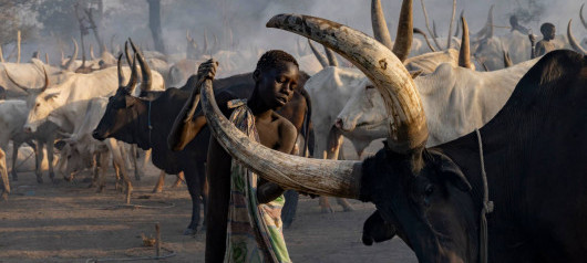 Visiting Mundari Tribe in South Sudan