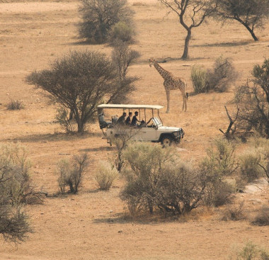 Courtesy Photo of Tanzania Safari 